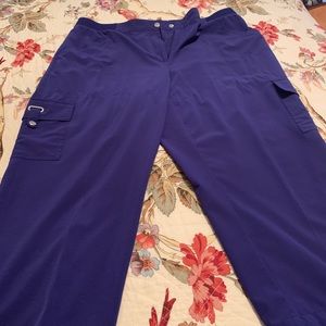 Chico’s dress capris.